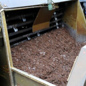 Champignon compost fase 3