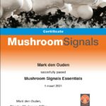 Certificaat  online mushroom cursus