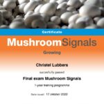 C1 certificaat Mushroom Signals Growing 1 year training programme...
