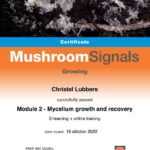 Voorbeeld certificaat Mushroom Signals Growing_M2_E-learning+online training