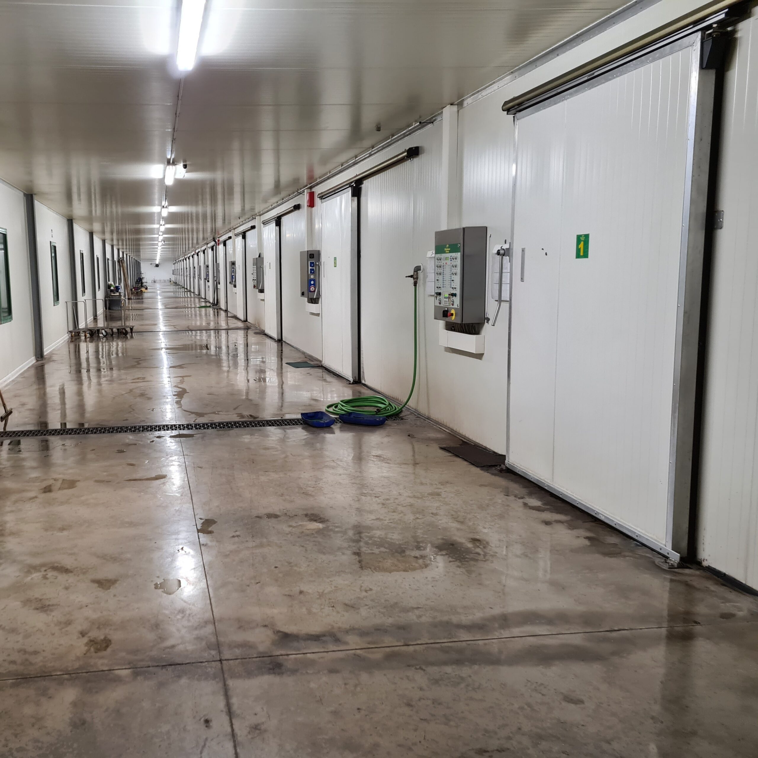 Hygiene in a mushroom farm