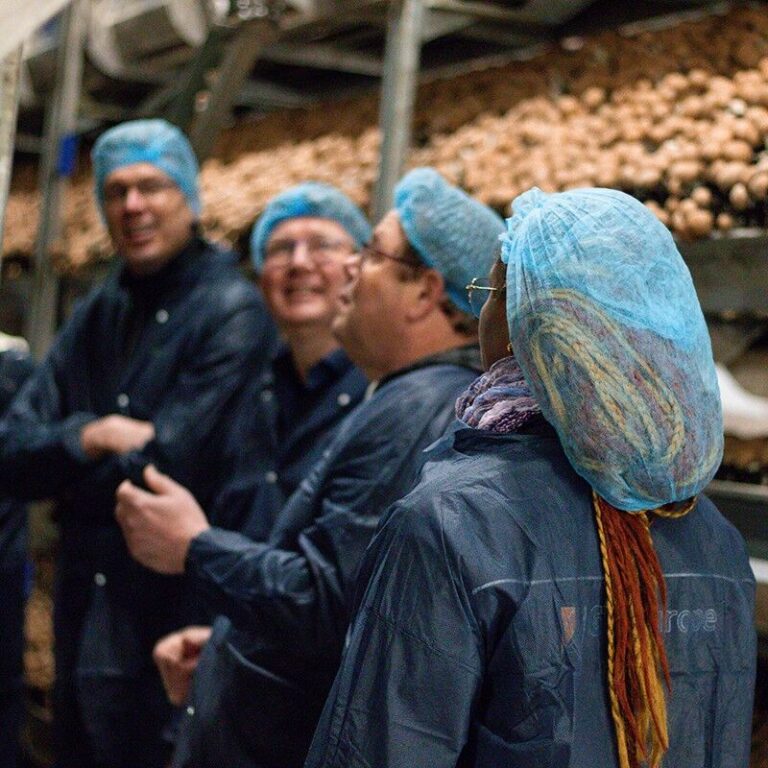 mushroom-office-mushroom-essentials-live-training-3