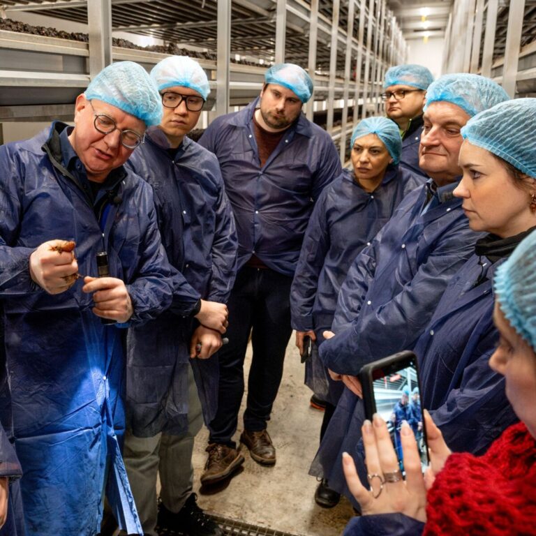 260325 Cursus Champignonkwekerij Muchroom Education-4356 vierkant