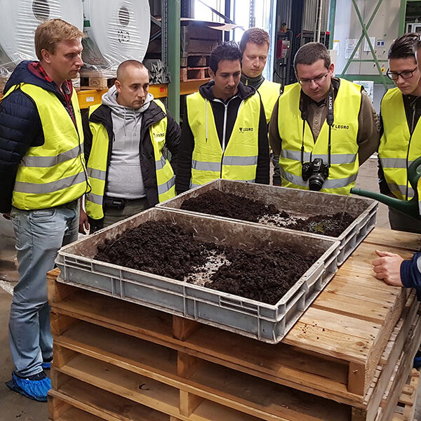 Mushroom-in-company-training-1