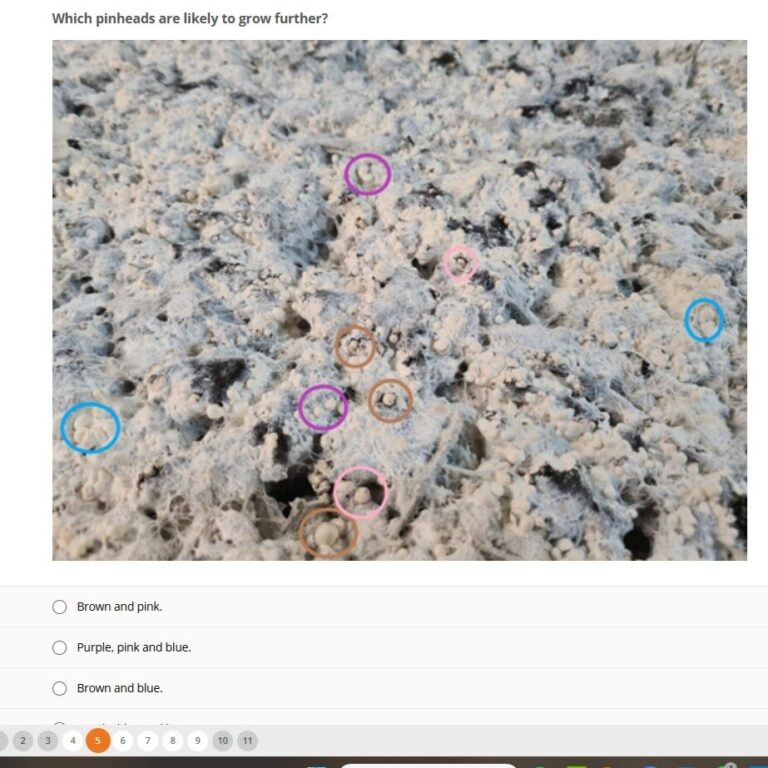 picture question of e learing Mushroom Education