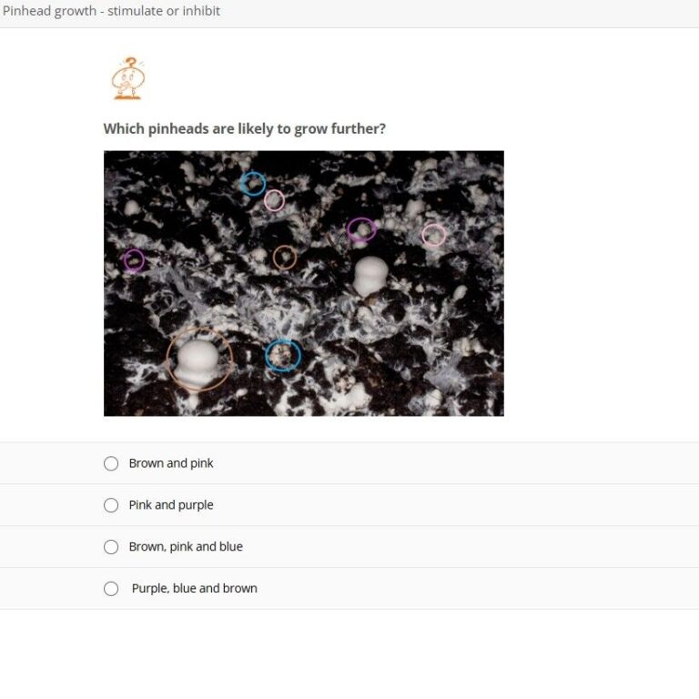 picture question of e learing Mushroom Education