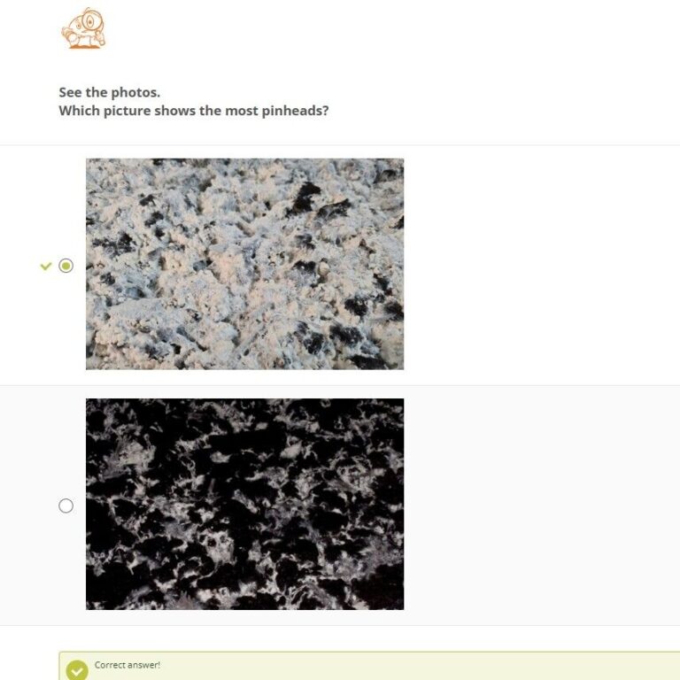 picture question of e learing Mushroom Education