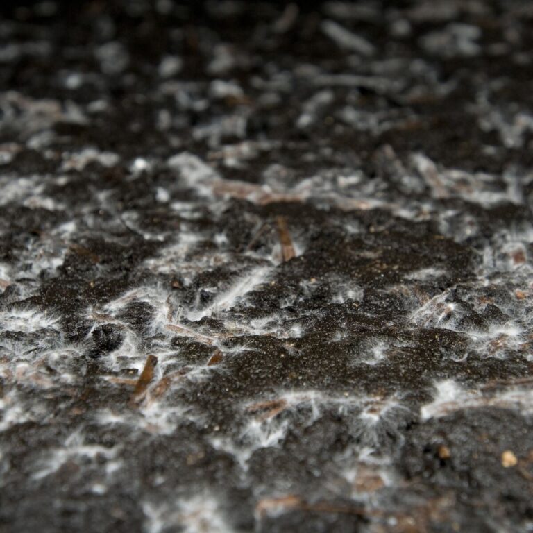 mo dec 2011 - 5484 vierkant