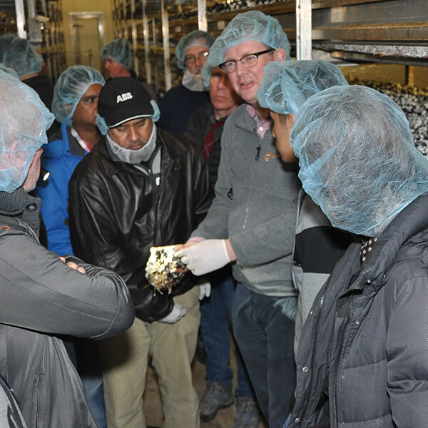 mushroom-office-courses-for-your-clients-1