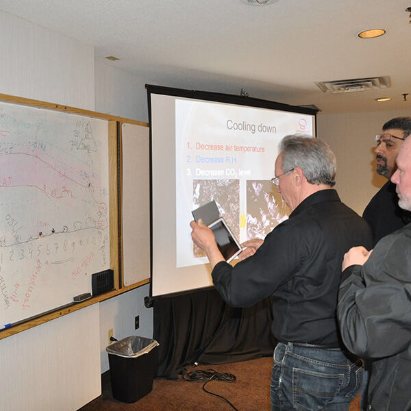 mushroom-office-courses-for-your-clients-4