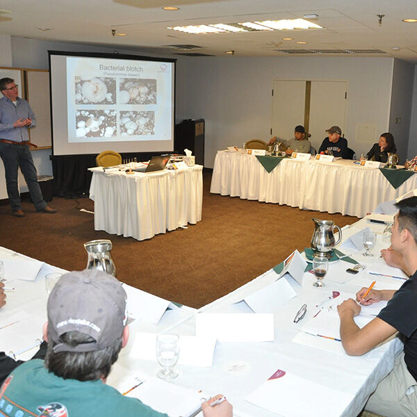 mushroom-office-courses-for-your-clients-5