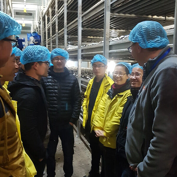 mushroom-office-courses-for-your-clients-6