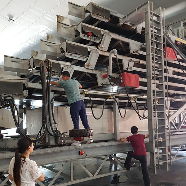 mushroom-office-courses-for-your-clients-7