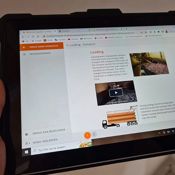 mushroom-office-e-learning-mushroom-essentials-1