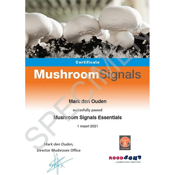 mushroom-office-e-learning-mushroom-essentials-certficate
