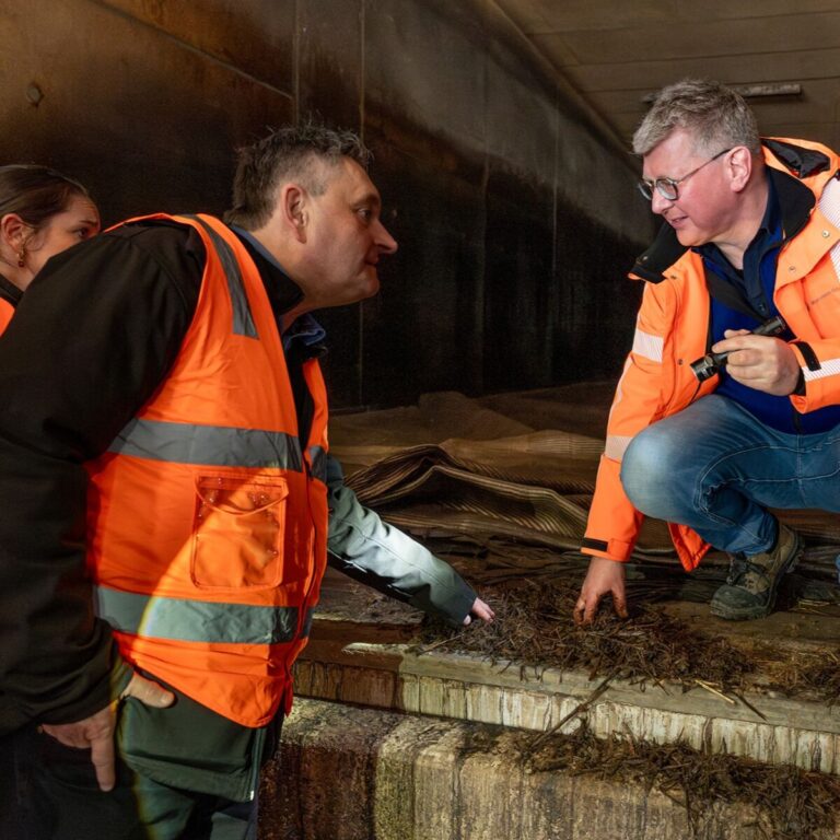 260325 LR- Cursus Compostbedrijf Muchroom Education-5078