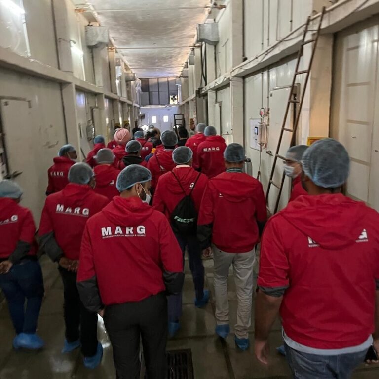 Afbeelding van WhatsApp op 2025-10-19 om 16.49.16_5baacd1c vierkant