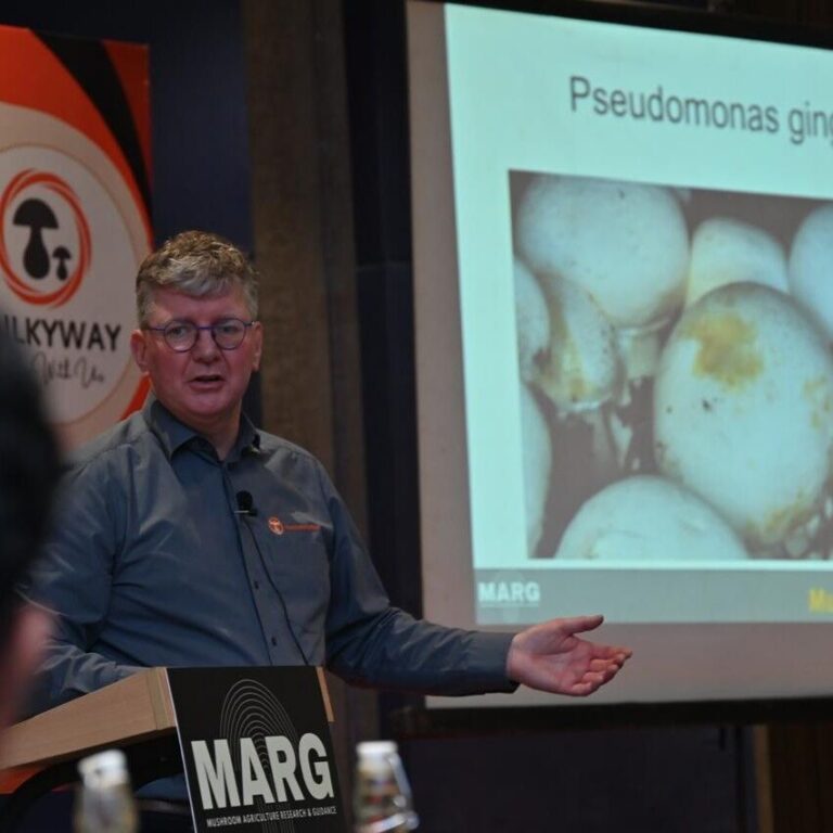 Afbeelding van WhatsApp op 2025-10-19 om 16.49.17_153f639c vierkant