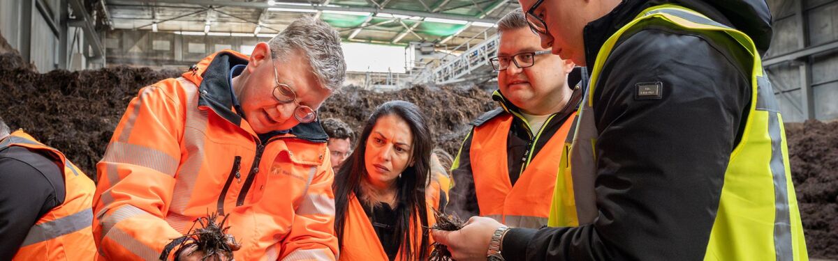 mushroom-office-in-company