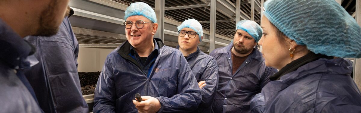 mushroom-office-live-training